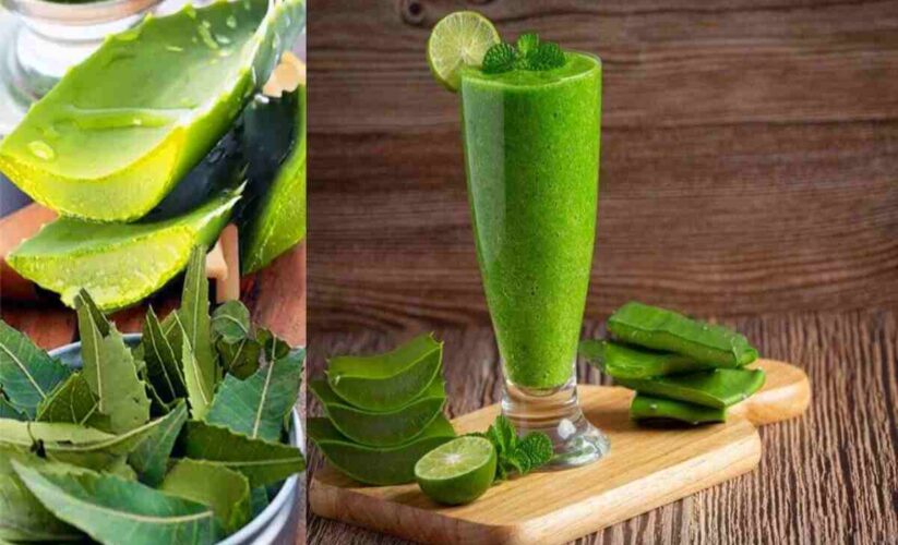 Wellhealthorganic.Com : Neem And Aloe Vera Juice