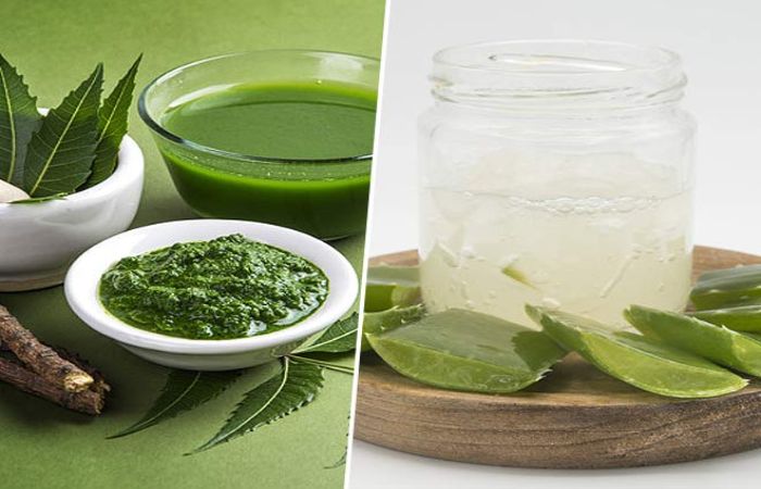 Why You Should Include Neem and Aloe Vera Juice in Your Daily Routine